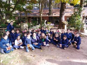 Colegio Tierra del Sur - Nivel Primario