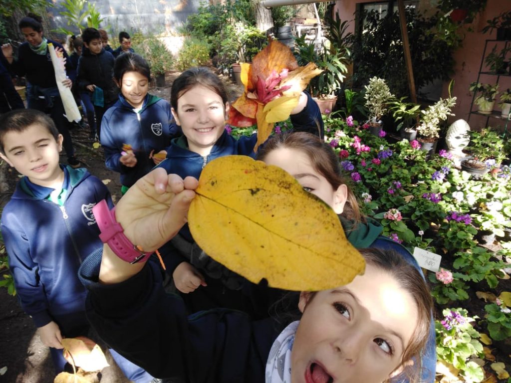 Colegio Tierra del Sur - Nivel Primario