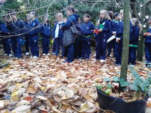 Colegio Tierra del Sur - Nivel Primario