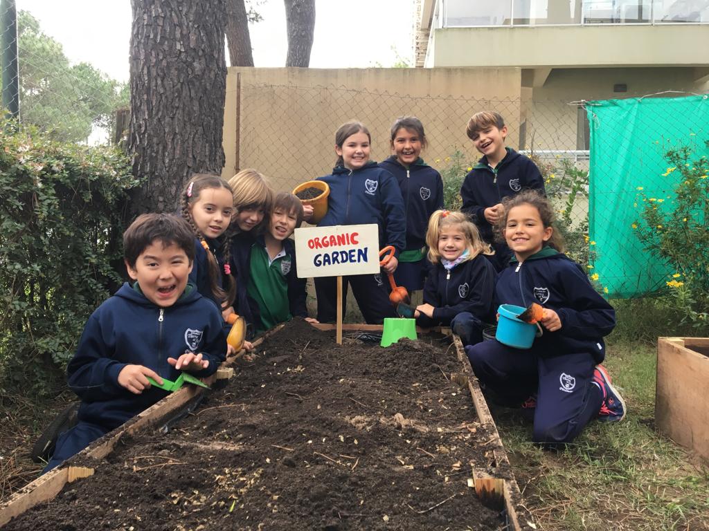 Nivel Primario Huerta Orgánica Colegio Tierra del Sur