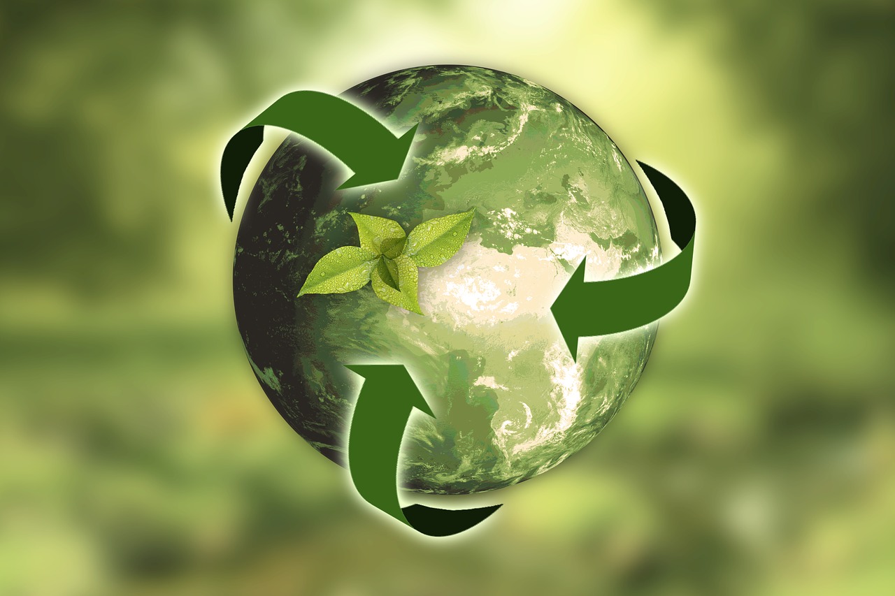 Proyecto Planta de Reciclaje