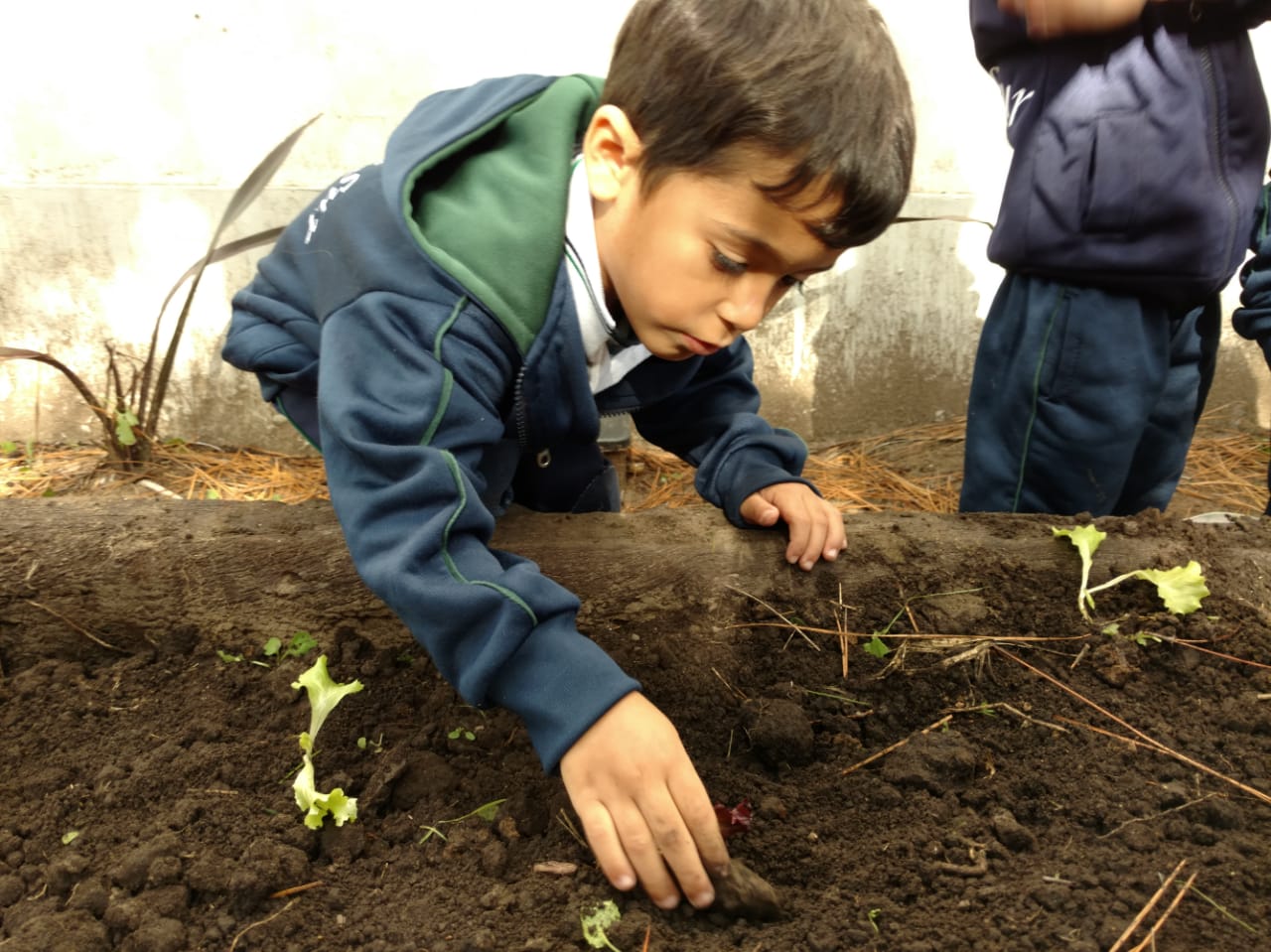 Huerta Nivel Inicial Colegio Tierra del Sur