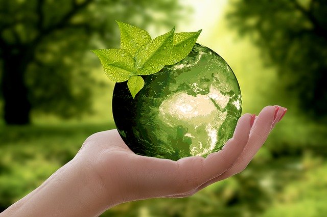 Educación ambiental en argentina