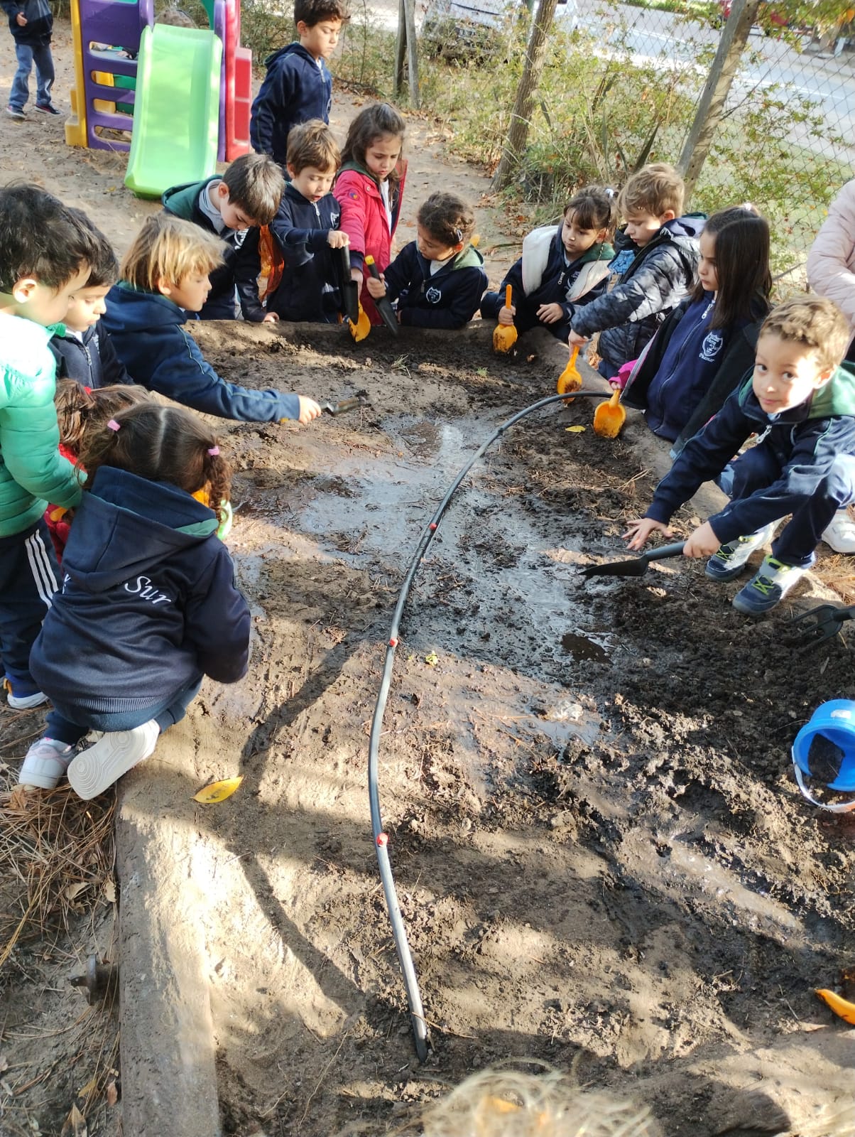 tierra pinamar huerta colegio