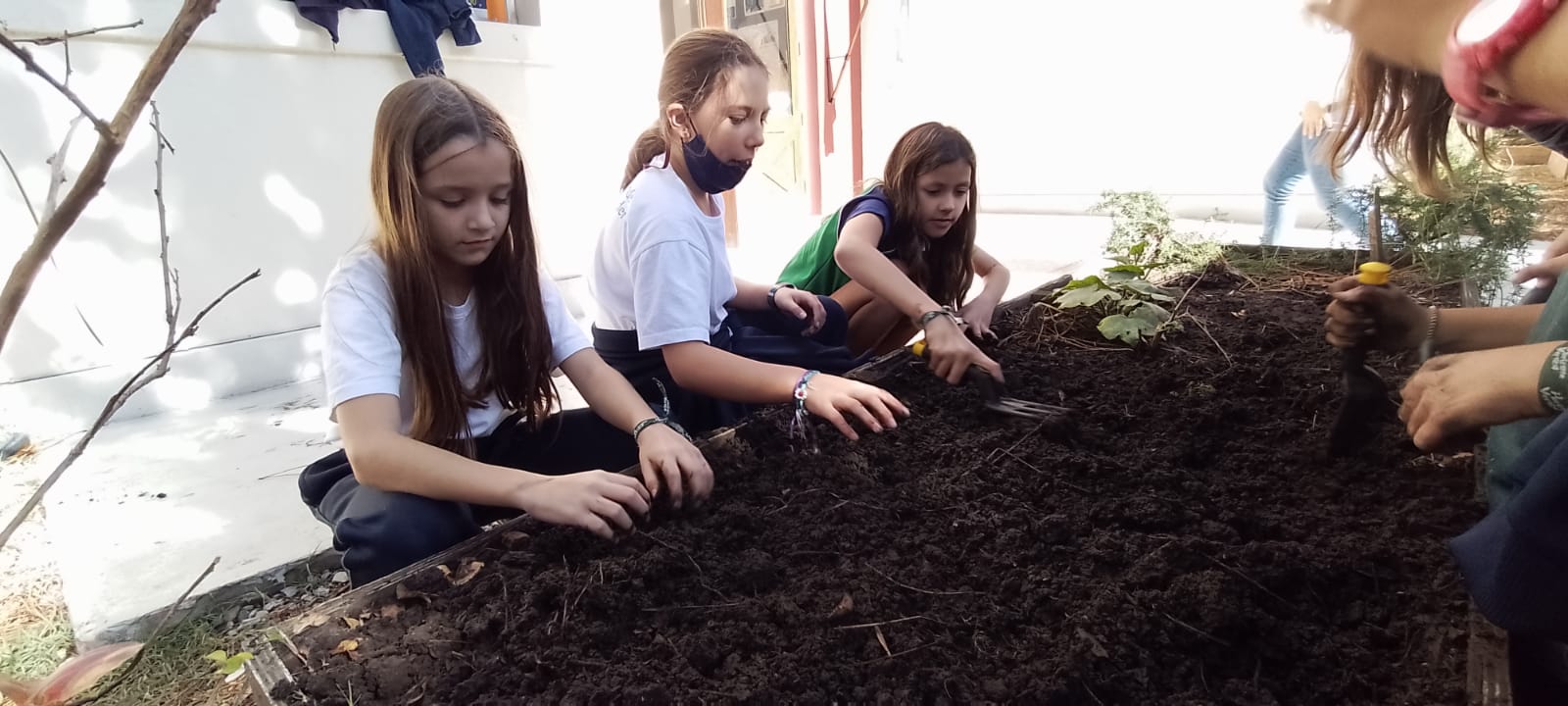 Proyecto Institucional Huerta